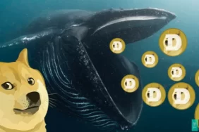 Bir Balina 100 Milyon Dolar Değerinde Dogecoin Aldı! Yükseliş Sinyali Mi?