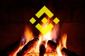 Bitcoin Borsası Binance’den Yeni BUSD Hamlesi!