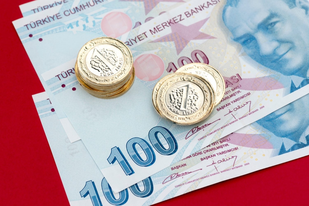 Bitcoin’in Ötesine Bakmak: Türkler ‘Bu Altcoinler’ Dedi!
