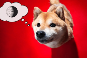 Bu 5 Meme Coin Yükselişiyle Dogecoin’i Bile Devirdi!