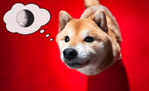 Bu 5 Meme Coin Yükselişiyle Dogecoin’i Bile Devirdi!