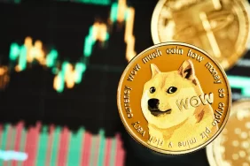 Bu Altcoin Ani Yükseliş Sergiledi: Dogecoin’i Mi Geçecek?
