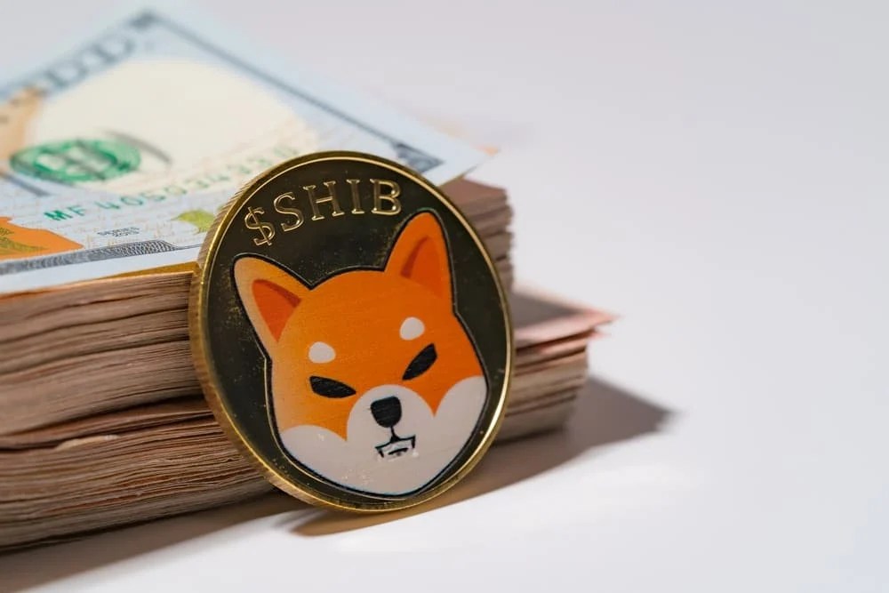 Bu Meme Coin İçin '10 Doları Görecek' Tahmini!
