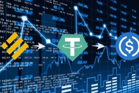 BUSD ve USDC Haberlerinden Sonra Bu Altcoine Milyarlık Yatırım!