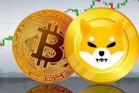 Çok Kez Bildi! ‘BTC ve SHIB Şubat’ta Bu Seviyelerde’