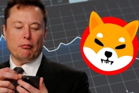 DOGE Mucidi, Elon Musk ve SHIB Arasındaki Gizemi Açıkladı!