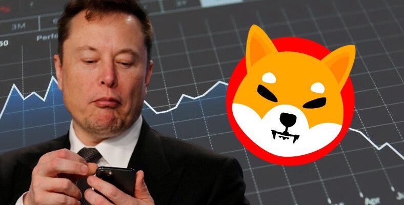 DOGE Mucidi, Elon Musk ve SHIB Arasındaki Gizemi Açıkladı!