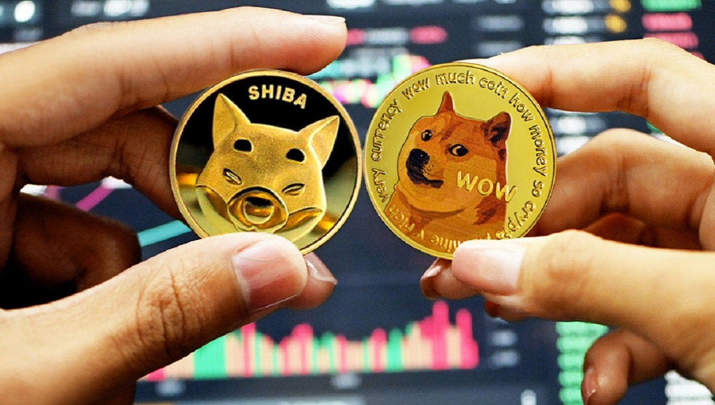 Finans Şirketi: SHIB, DOGE’u Bırakın! Bu 3 Altcoine Bakın