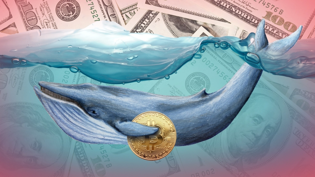 Fırsat Kolluyorlar! Kritik ABD Enflasyon Verileri Öncesi Bitcoin Balinaları Harekete Geçti!