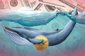 Fırsat Kolluyorlar! Kritik ABD Enflasyon Verileri Öncesi Bitcoin Balinaları Harekete Geçti!