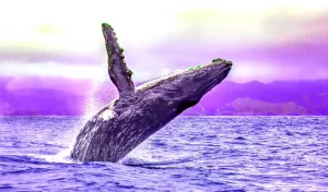 Gizemli Kripto Para Balinası, Bu Altcoinleri Fırlattı!