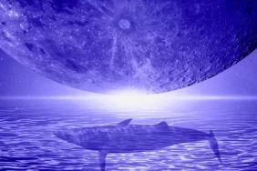 İlk 100 Balina SHIB, DOGE Değil: Bu AI Coini Alıyor!