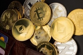 Not Edin: Bu Tarihler BTC, SHIB ve Altcoinler İçin Çok Kritik!