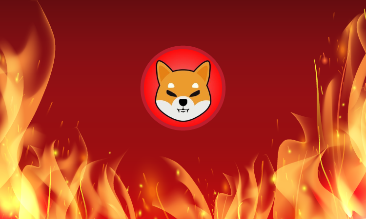 Popüler Meme Token Shiba Inu’dan Yapılan Her Yeni Açıklama Balinaların İştahını Kabartıyor!