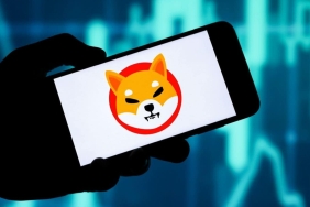 SHIB İçin Şubat Seviyeleri Belli Oldu: Bunları Bekleyin!