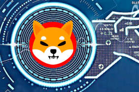 SHIB Topluluğu Oyladı: Bu Altcoin Top 100’e Girebilir!