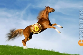 Son Dakika! Bitcoin (BTC) 25.000 Dolar! Neden Yükseliyor?