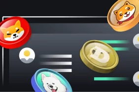 Şubat İçin Meme Coin Tahminleri: Bunlara Coinlere Bakın!