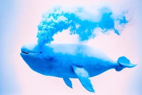 Türklerin Aldığı Altcoin İçin Satış Sinyali: Balina Uyandı!