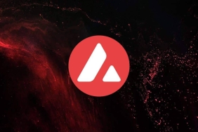 Yatırımcıların Radarında AVAX Tabanlı Bu 3 Altcoin Var!