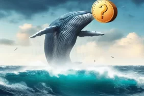 Boğaya Hazırlık Yapan Kurumsal Balina Binance’ten 23 Milyon Dolarlık Altcoin Alımı Yaptı! İşte Tercih Ettiği Üç Altcoin!