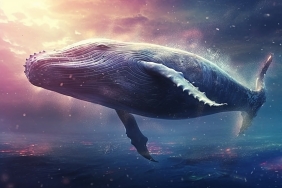 Karın Tadını Alan Balina Bu Altcoin’i Yine Toplamaya Başladı!