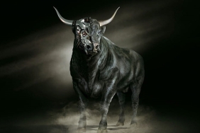 Santiment: Radardaki Bu Altcoin Yükseliş Sinyalleri Veriyor!