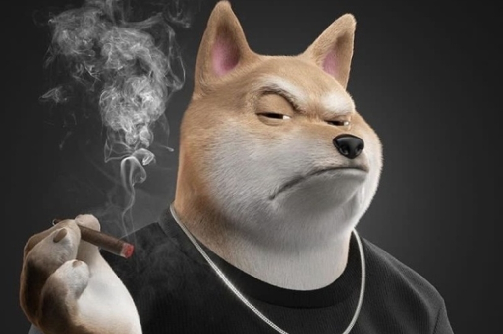Shiba Inu Rekor Kırarken, Bu Meme Coin’den Gizemli Paylaşım!