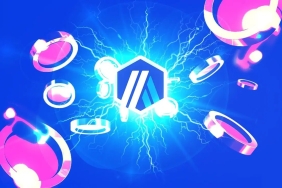 Avalanche Kritik Meme Coin Hamlesi Yaptı: Bu Tokenler Fırladı!