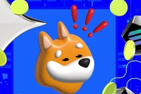 Binance, BONK ve Bu 5 Altcoin İçin Müjdeyi Verdi!