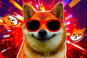 Binance SHIB, BONK ve Bu 5 Coin İçin Önemli Güncelleme Yaptı!