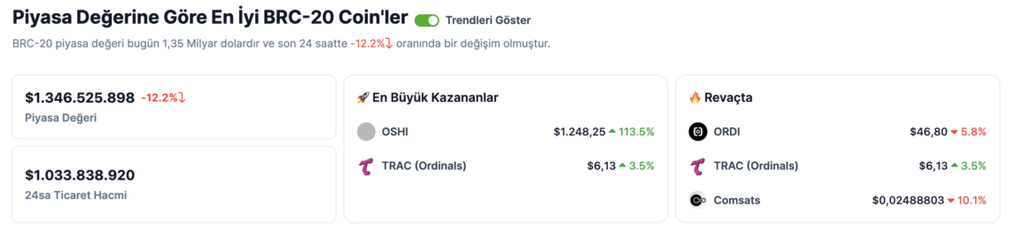 BRC20 piyasa değeri coingecko