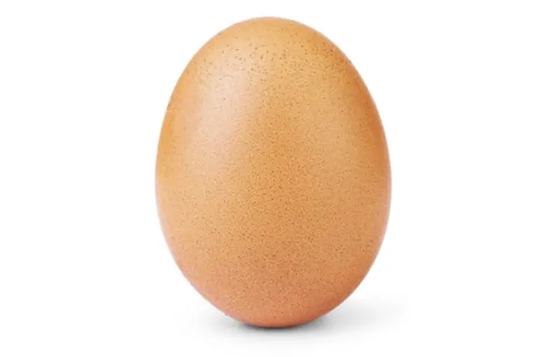 Most Liked Egg