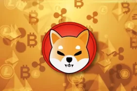 Çarpıcı İddia: Bu 2 Altcoin, Mt. Gox Bitcoin Aklamasına Karıştı!