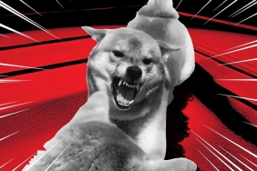 DOGE ve SHIB’e Dişli Bir Rakip Çıktı: Hızla Yükseliyor!