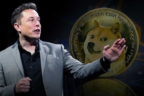 Elon Musk Bu Sefer Dalgayı Kırdı: DOGE İçin Sırada Ne Var?