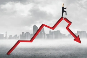 Kripto Ayısı: Bitcoin ve Altcoin’ler Bu Seviyelere Dalacak!