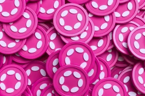 Polkadot Tabanlı Bu 5 Altcoin Uçuyor: İşte Detaylar!