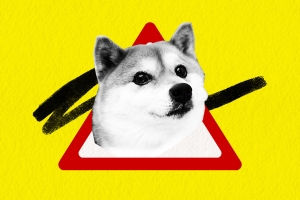  SHIB İçin Uyarı Geldi: 422 Trilyon Shiba Inu Tehlikesi!