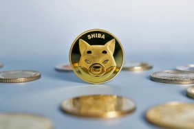 Shiba Inu (SHIB) yükselişine Bitcoin (BTC) engel olamadı!