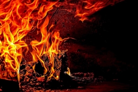 Uzman Görüşü: Yeni Yılda Sizi Sıcak Tutacak 3 Altcoin!