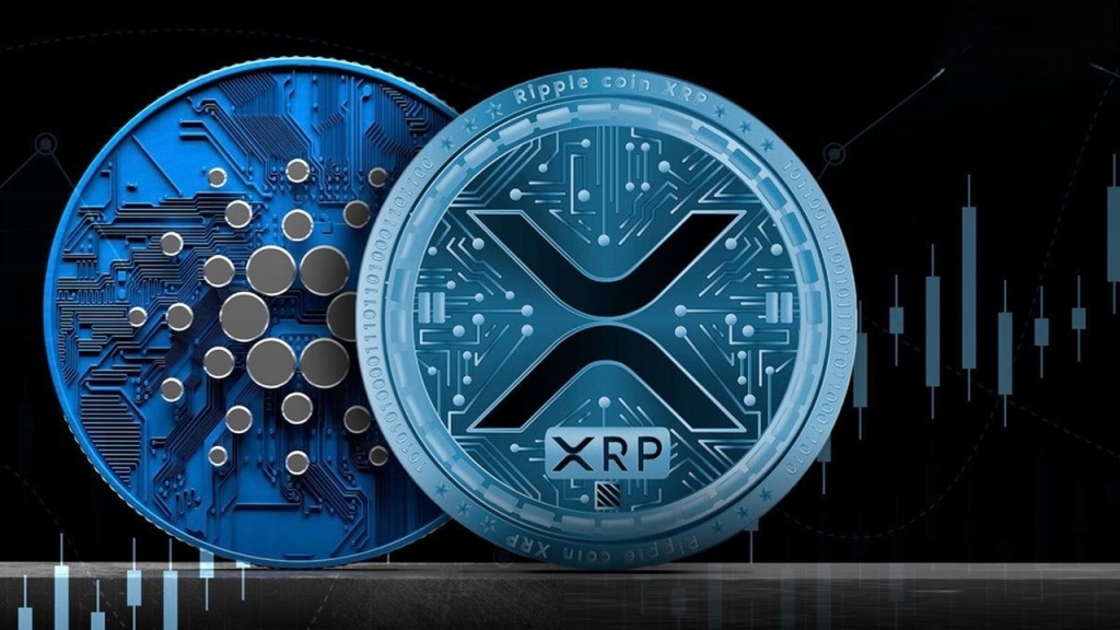 ADA Coin ve XRP Coin Selloff Uyarısı: Bu Seviyeler Gelebilir!