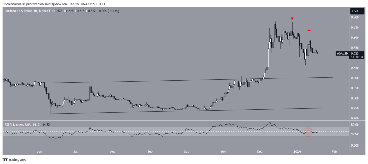 XRP Coin