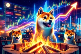 Bu 2 Meme Coin ‘Burn’ Yarışı Yapıyor: Hangisi Kazanacak?