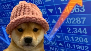 O Meme Coin Binance Spekülasyonuyla Uçtu! Yine de Zarar Edildi