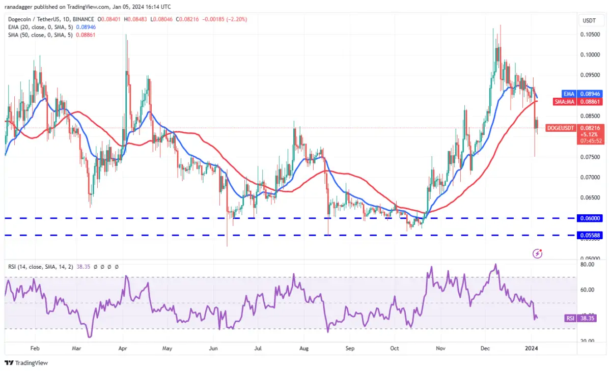 XRP Coin