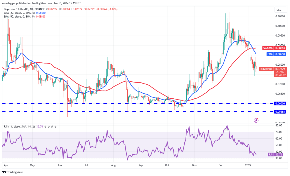 XRP Coin