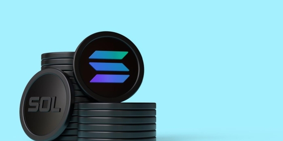 Popüler Kripto Para Solana’dan Yeni Rekor! SOL Alternatifi Coinler Hangileri?