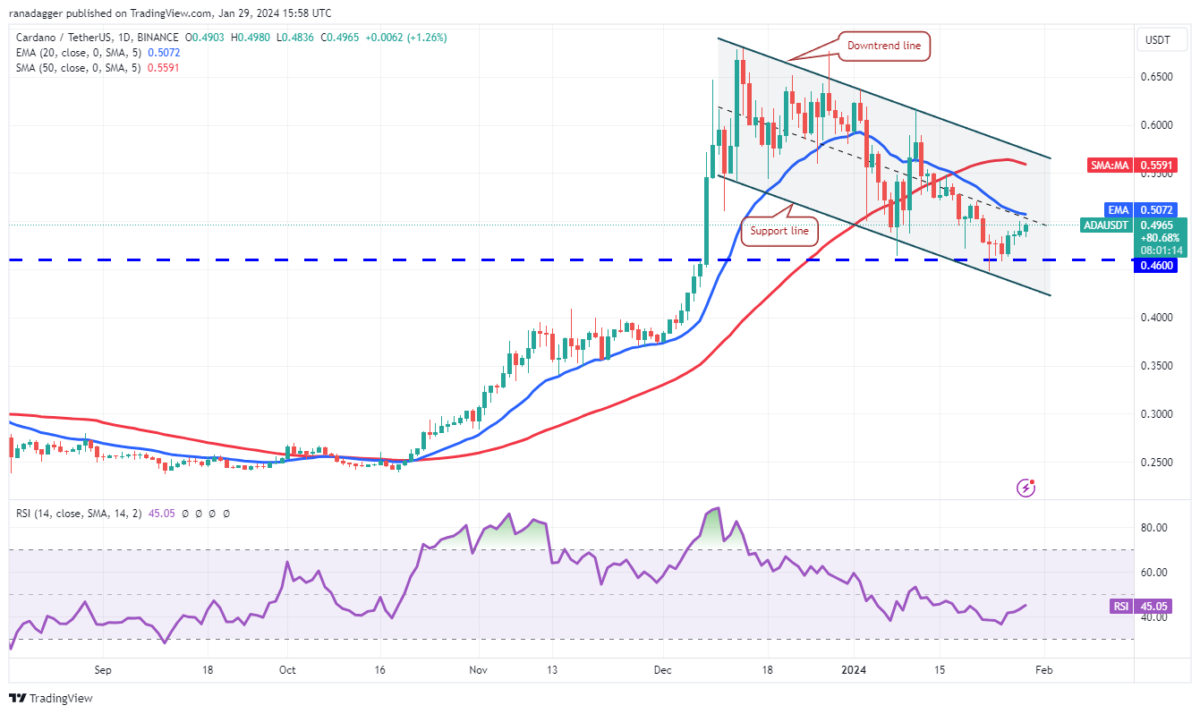 AVAX Coin