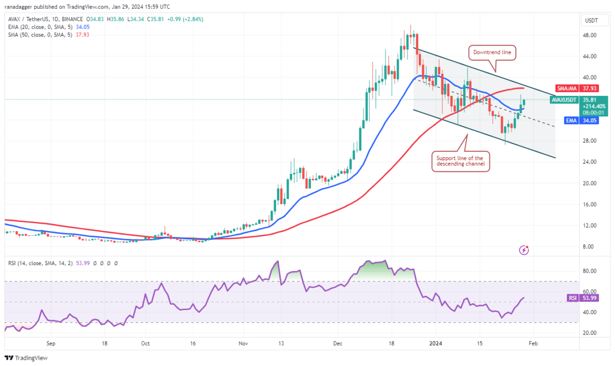 AVAX Coin